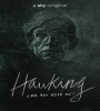 Hawking Can You Hear Me 2021 FZtvseries