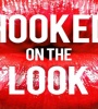 Hooked on the Look FZtvseries
