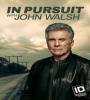 In Pursuit with John Walsh FZtvseries
