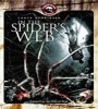 In The Spiders Web 2007 FZtvseries