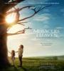Miracles from Heaven FZtvseries