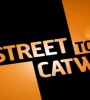 Models - Street to Catwalk FZtvseries