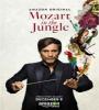 Mozart In The Jungle FZtvseries