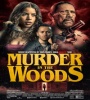 Murder In The Woods 2017 FZtvseries