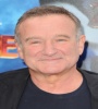 FZtvseries Robin Williams