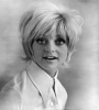 FZtvseries Goldie Hawn