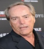 FZtvseries Powers Boothe