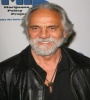 FZtvseries Tommy Chong