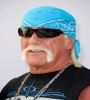 FZtvseries Hulk Hogan