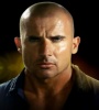 FZtvseries Dominic Purcell