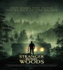 Stranger In The Woods 2024 FZtvseries