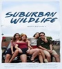 Suburban Wildlife 2019 FZtvseries