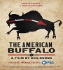 The American Buffalo FZtvseries