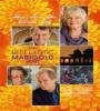 The Best Exotic Marigold Hotel FZtvseries