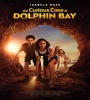 The Curious Case Of Dolphin Bay 2022 FZtvseries