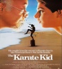 The Karate Kid 1984 FZtvseries