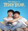 The Miracle of Teddy Bear FZtvseries