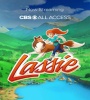 The New Adventures Of Lassie FZtvseries