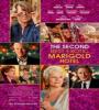 The Second Best Exotic Marigold Hotel FZtvseries