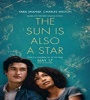 The Sun Is Also a Star 2019 FZtvseries
