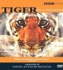 Tiger Spy In The Jungle FZtvseries