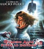 Touch Of Death 1988 FZtvseries