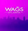 WAGS Atlanta FZtvseries