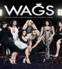 Wags FZtvseries