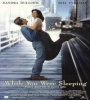 While You Were Sleeping 1995 FZtvseries