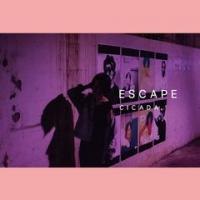 Zamob Cicada - Escape (2018)