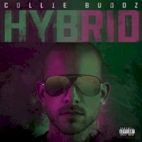 Zamob Collie Buddz - Hybrid (2019)
