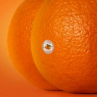 Zamob Emotional Oranges - The Juice, Vol. II (2019)