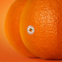 Zamob Emotional Oranges - The Juice Vol. II (2019)