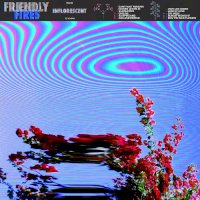 Zamob Friendly Fires - Inflorescent (2019)