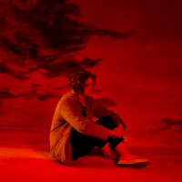 Zamob Lewis Capaldi - Divinely Uninspired To A Hellish Extent (2019)