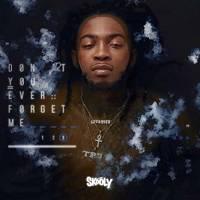 Zamob Skooly - Don't You Ever Forget Me 3 (2018)