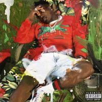 Zamob Troy Ave - More Money More Problems (2018)