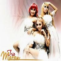 Zamob Trio Macan - The Best Of (2012)
