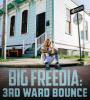 Zamob Big Freedia - 3rd Ward Bounce (2018)