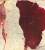 Zamob Gotye - Like Drawing Blood (2013) (US Retail)