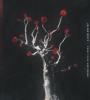 Zamob Julian Write - From Trees & Roses EP (2016)