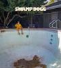 Zamob Swamp Dogg - Love, Loss, & Auto-Tune (2018)