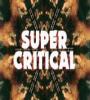 Zamob The Ting Tings - Super Critical (2014)