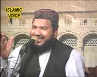 Zamob Muhammad Hanif Shahid - Haleema Too