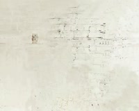 TuneWAP Paramore - Anklebiters With Lyrics