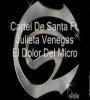 Zamob Cartel De Santa Julieta Venegas - El Dolor Del Micro Only Lyrics