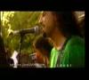 Zamob Junoon Various - Must Qalandar Live In Central Park