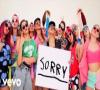 Zamob Justin Bieber - Sorry (PURPOSE The Movement)