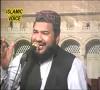 Zamob Muhammad Hanif Shahid - Haleema Too