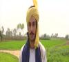 Zamob Rahat Fateh Ali Khan - Koi Mere Dil Da HaalNa Jaane O Rabba
